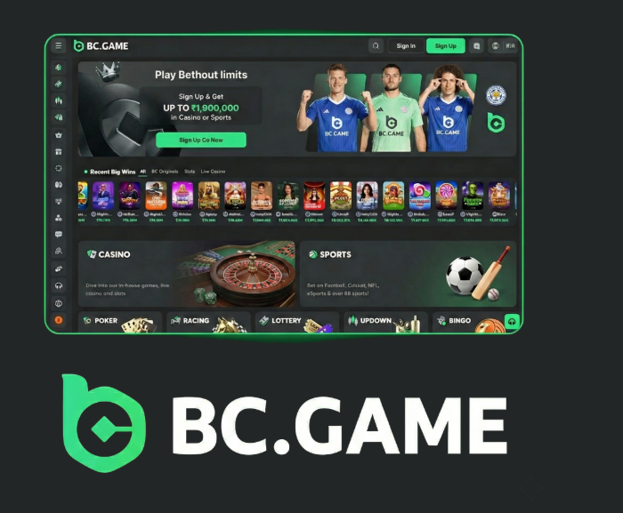 BC.Game Casino A Comprehensive Review of Online Gaming Adventure