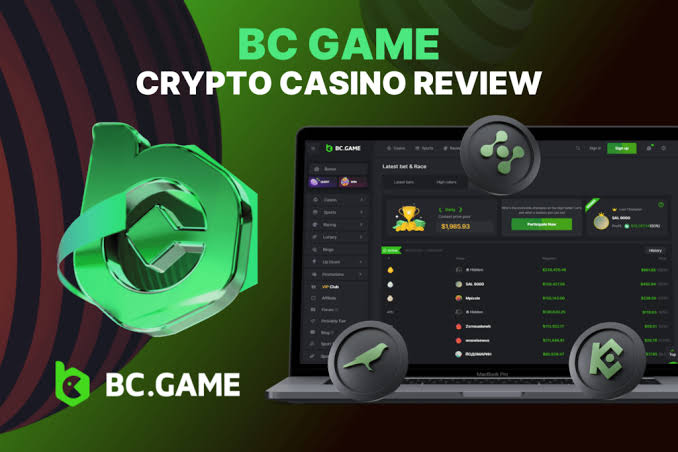 Understanding the BC.Game Login Process Your Gateway to Online Gaming -304814229